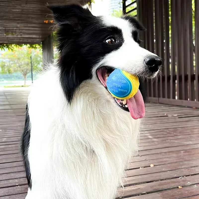 Jouets interactifs pour chien