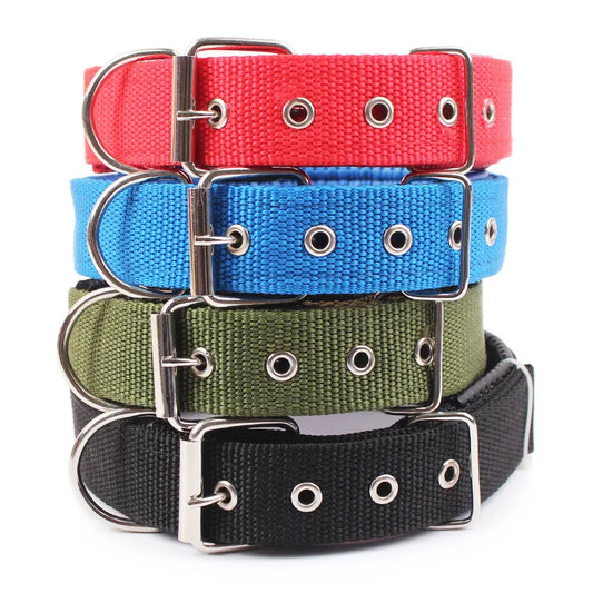 Verstellbares Hundehalsband