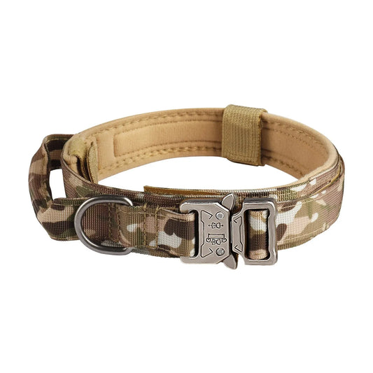 Hundehalsband aus Nylon