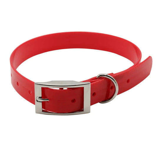 Hundehalsband aus Nylon