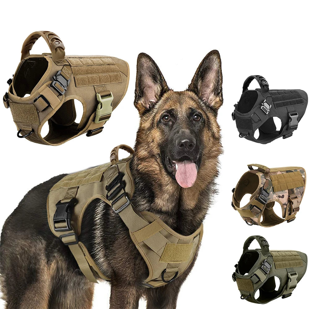 Harnais de dressage pour chien