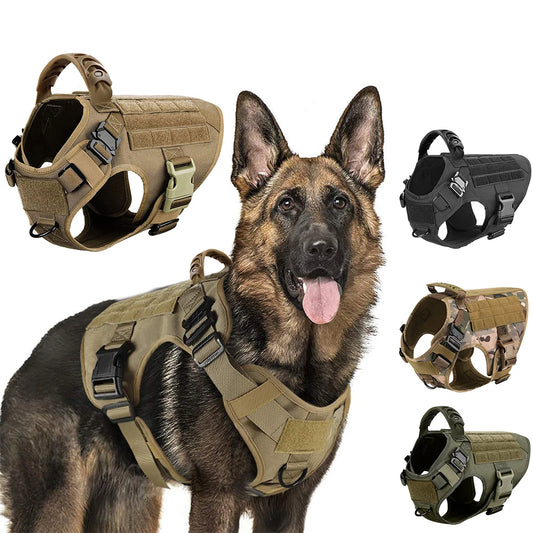 Harnais de dressage pour chien