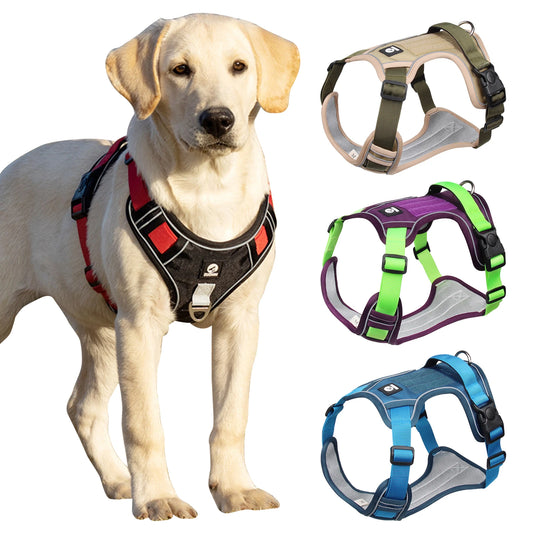 Harnais en tissu pour chien