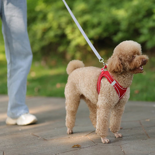 Harnais pour chien ajustable