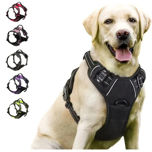 Harnais pour chien en cuir