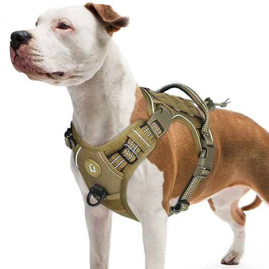 Harnais pour petit et grand chien