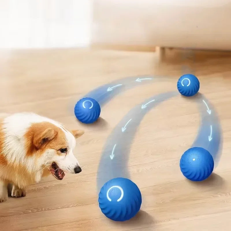 Smart dog toy