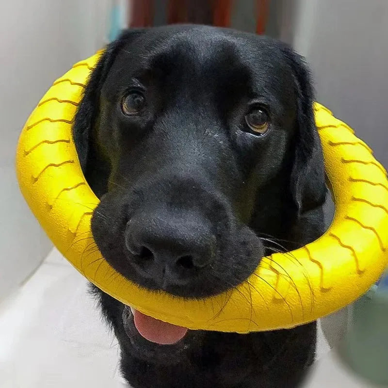 Flying dog toy