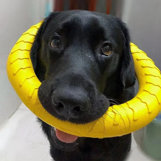 Flying dog toy