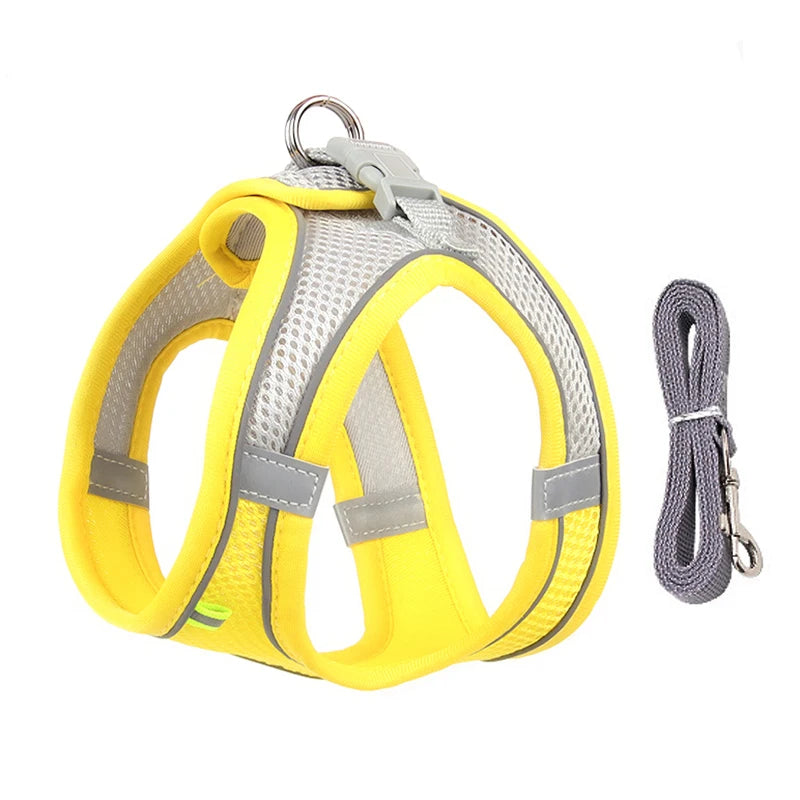 Harnais pour chien ajustable