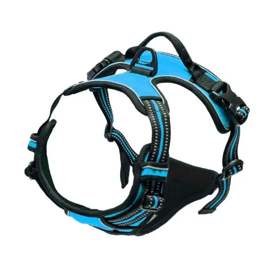 Harnais pour chien en cuir