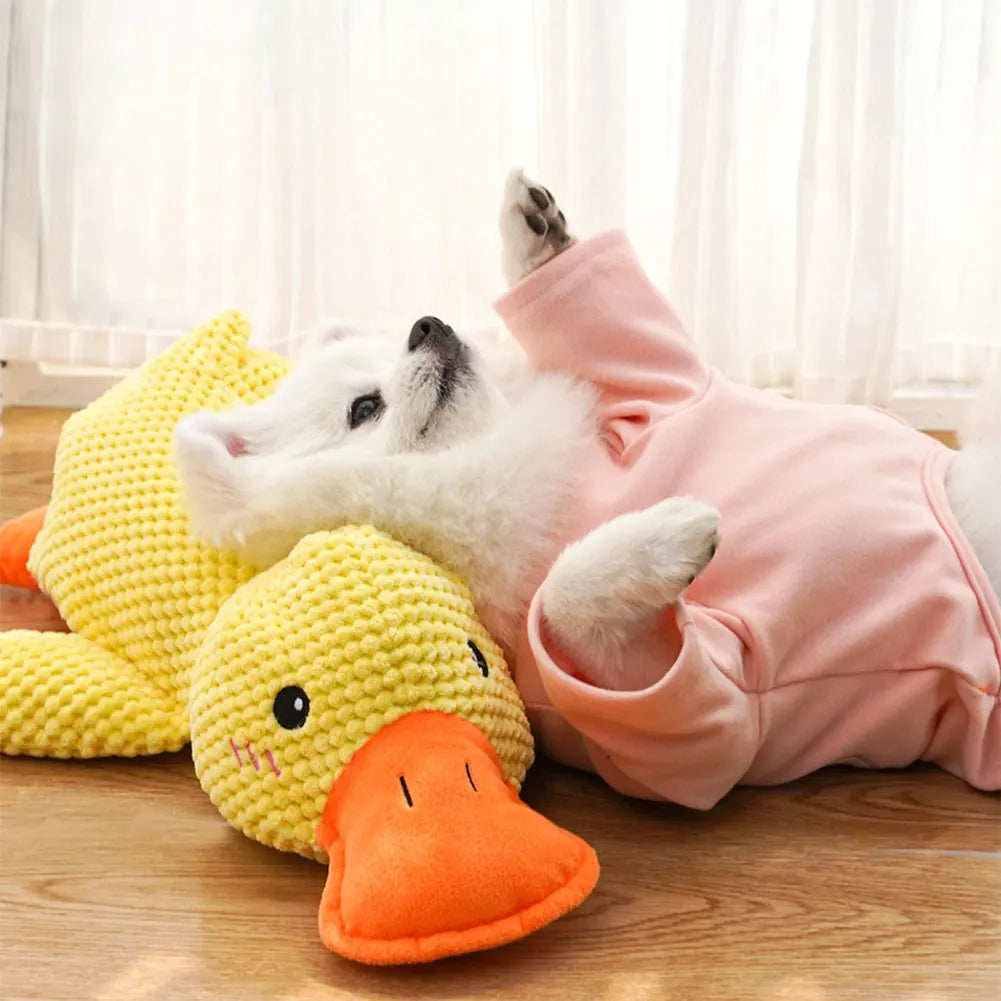 Jouet pour chien apaisant