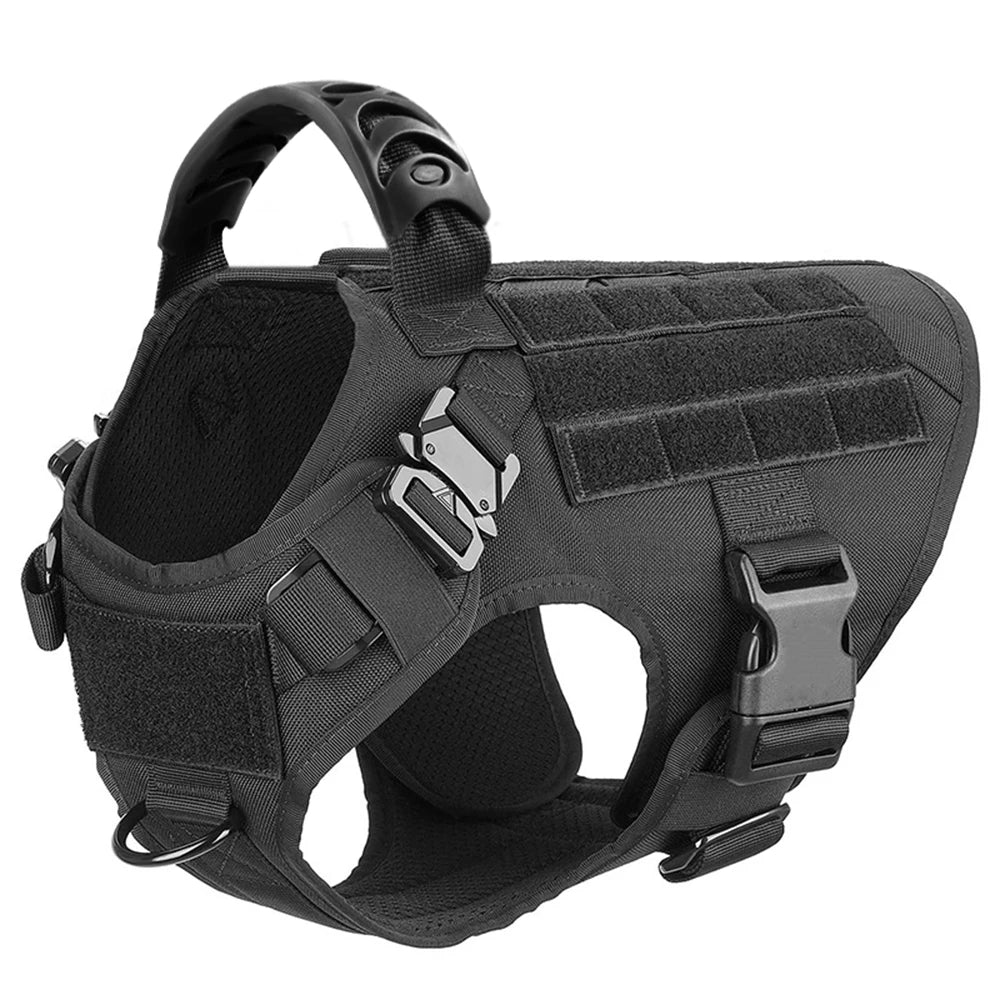 Harnais de dressage pour chien