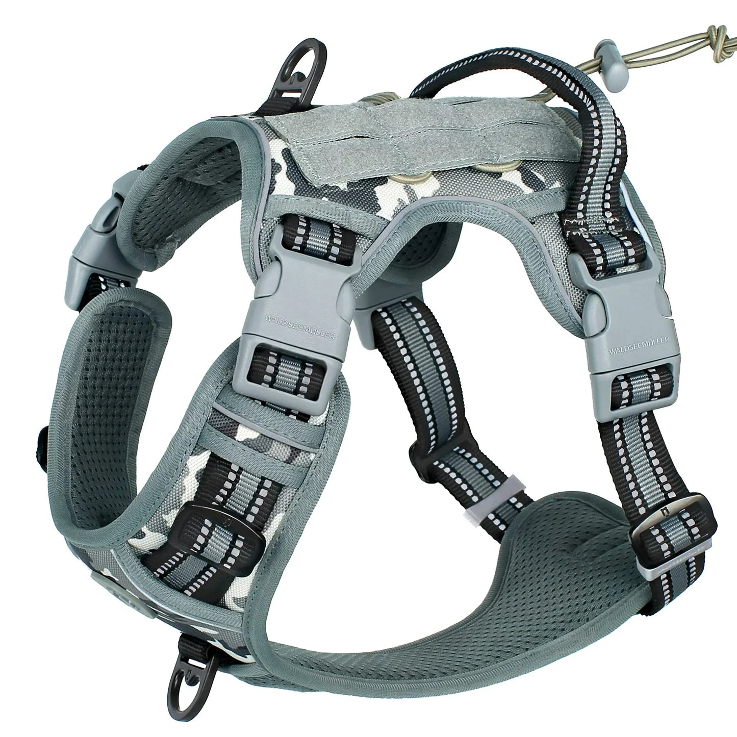 Harness for small and large dogs