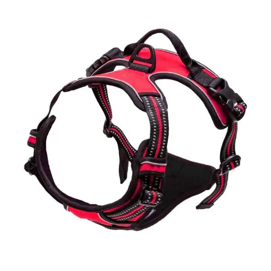 Harnais pour chien en cuir