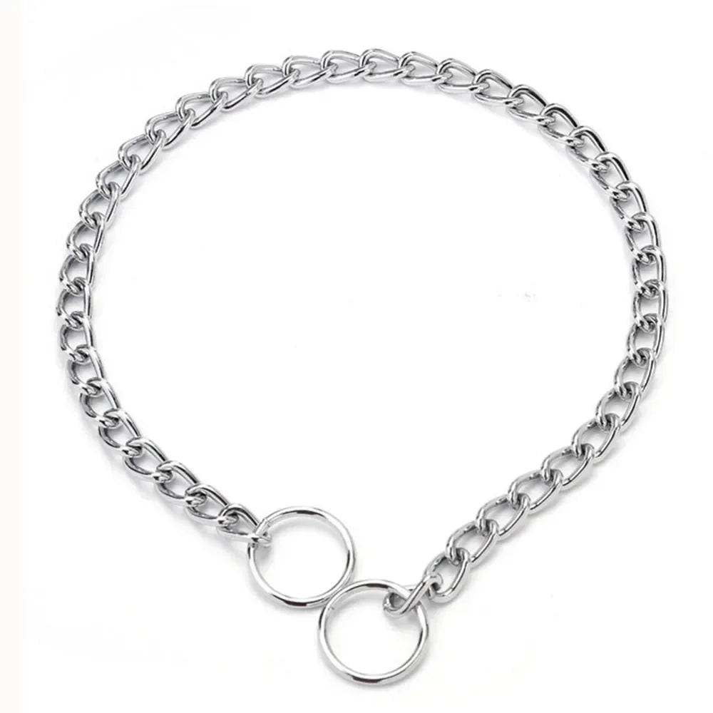Silver dog collar