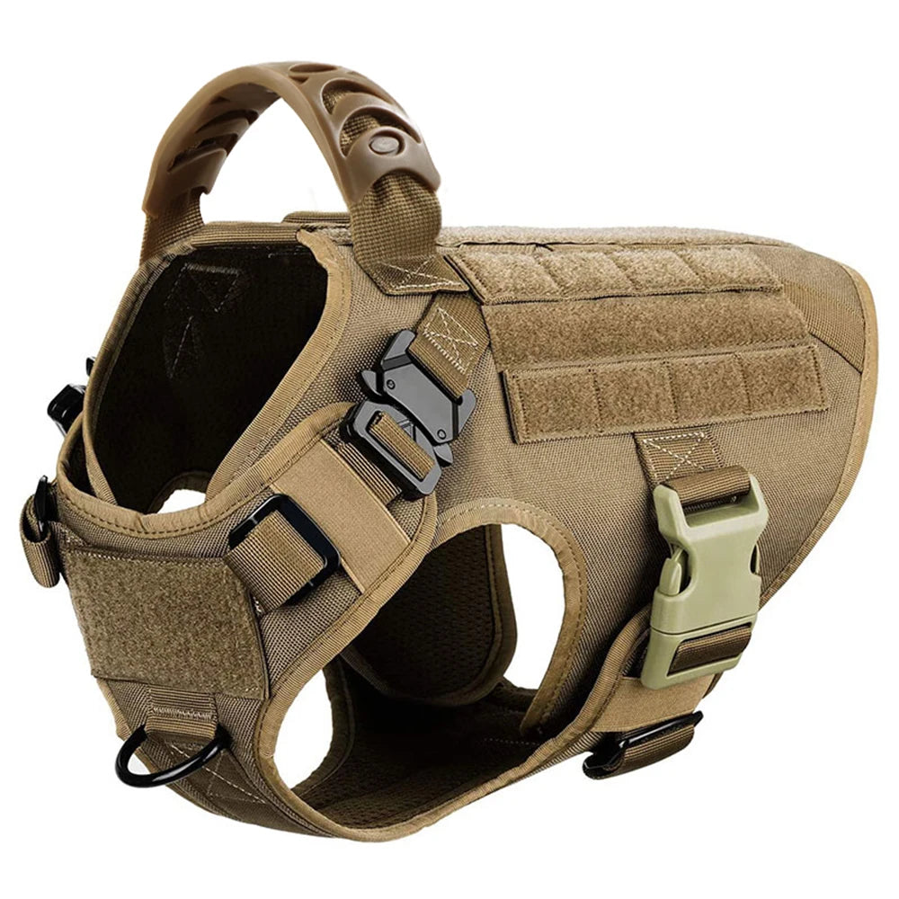 Harnais de dressage pour chien