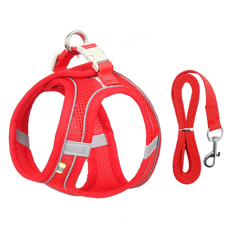 Harnais pour chien ajustable