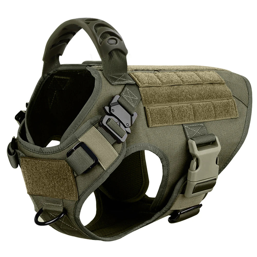 Harnais de dressage pour chien