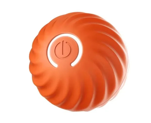 Smart dog toy