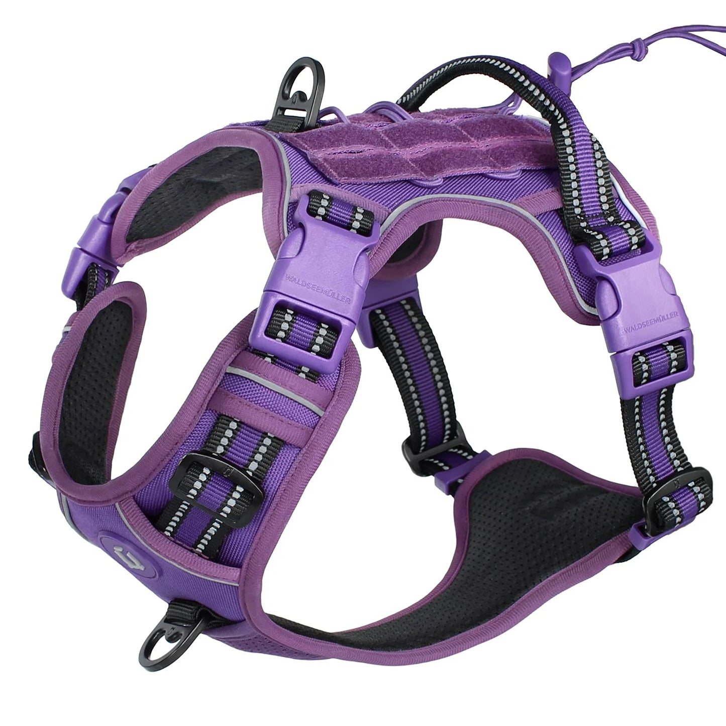 Harness for small and large dogs