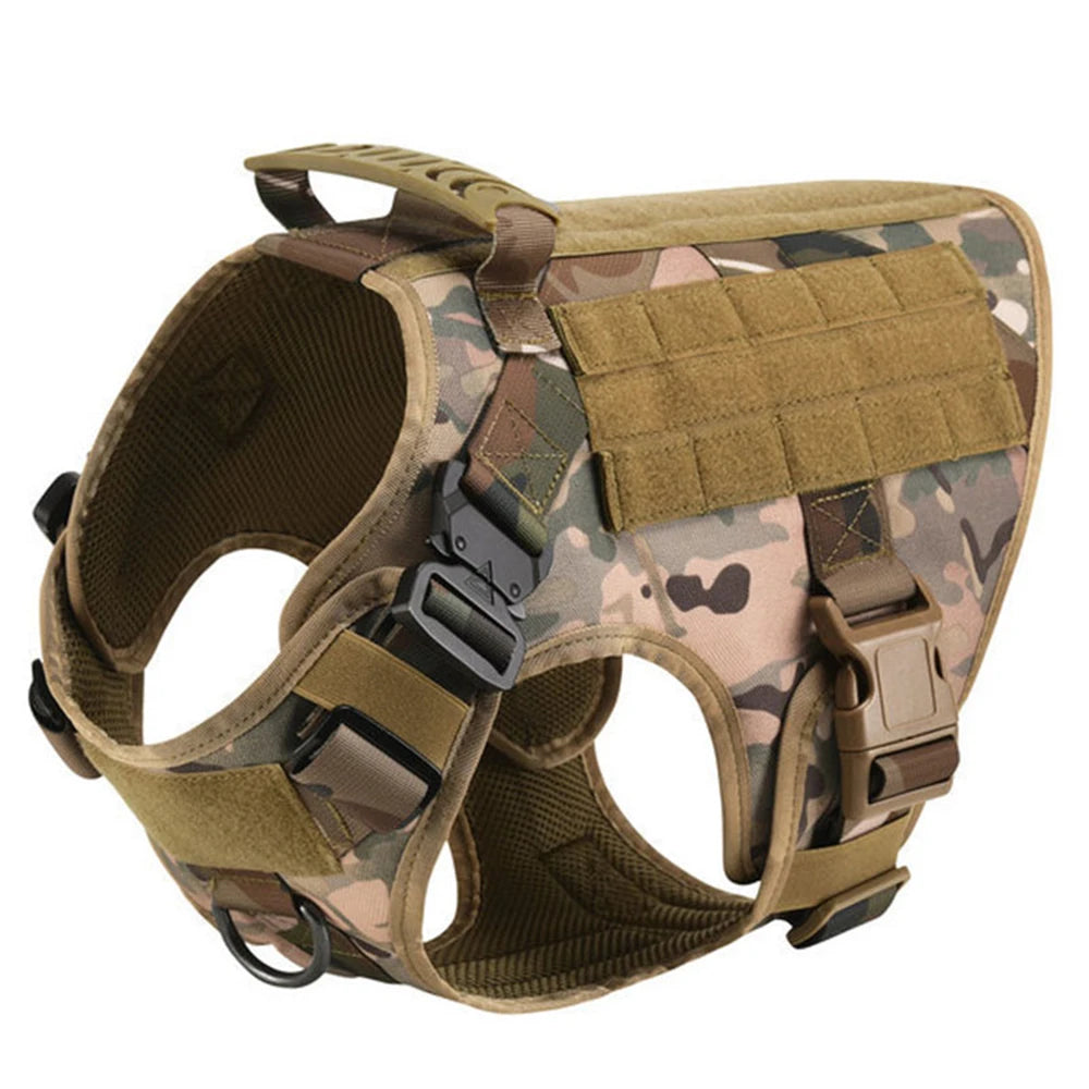 Harnais de dressage pour chien