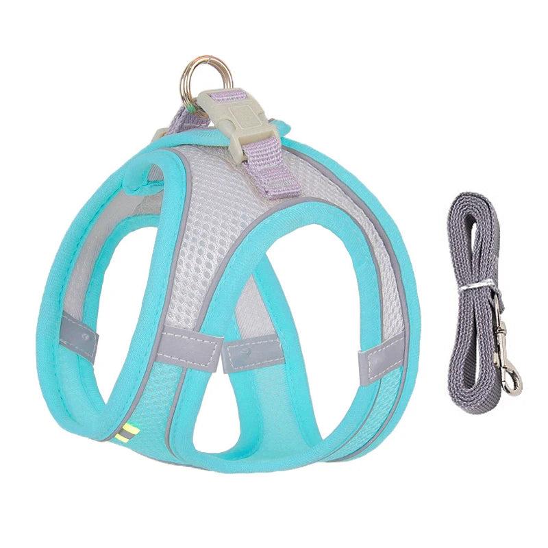 Harnais pour chien ajustable