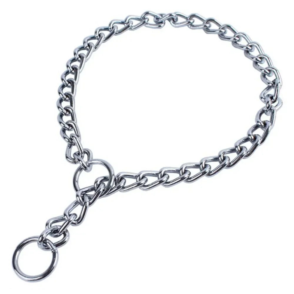 Silver dog collar