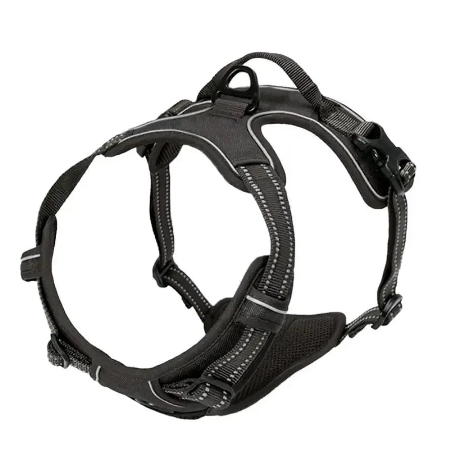 Harnais pour chien en cuir